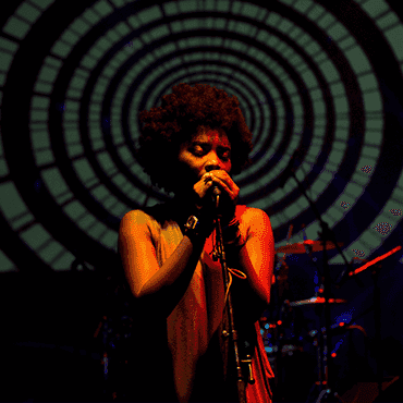 Lorem ipsum dolor sit amet consectetur adipiscing elit in Duis pharetra neque